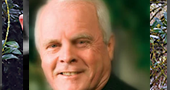 Gordon MacDonald